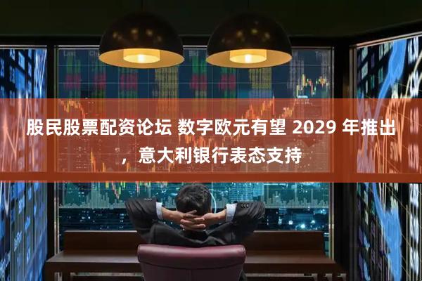 股民股票配资论坛 数字欧元有望 2029 年推出，意大利银行表态支持